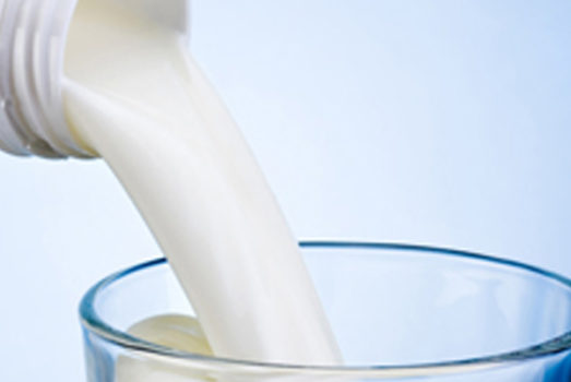 Sahara Dairy Co Benefits of Camel Milk Autism